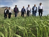 بازدید و بررسی اجرای طرح کشاورزی در زمین های روستای اقبلاغ
