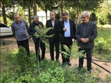 بازدید فرماندار خلخال از نهالستان بخش خصوصی دکتر حکمت جو در خوجین