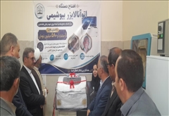 در آخرین روز از هفته دولت