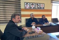 بررسی مشکلات نانوایان شهر خلخال و بخش مرکزی